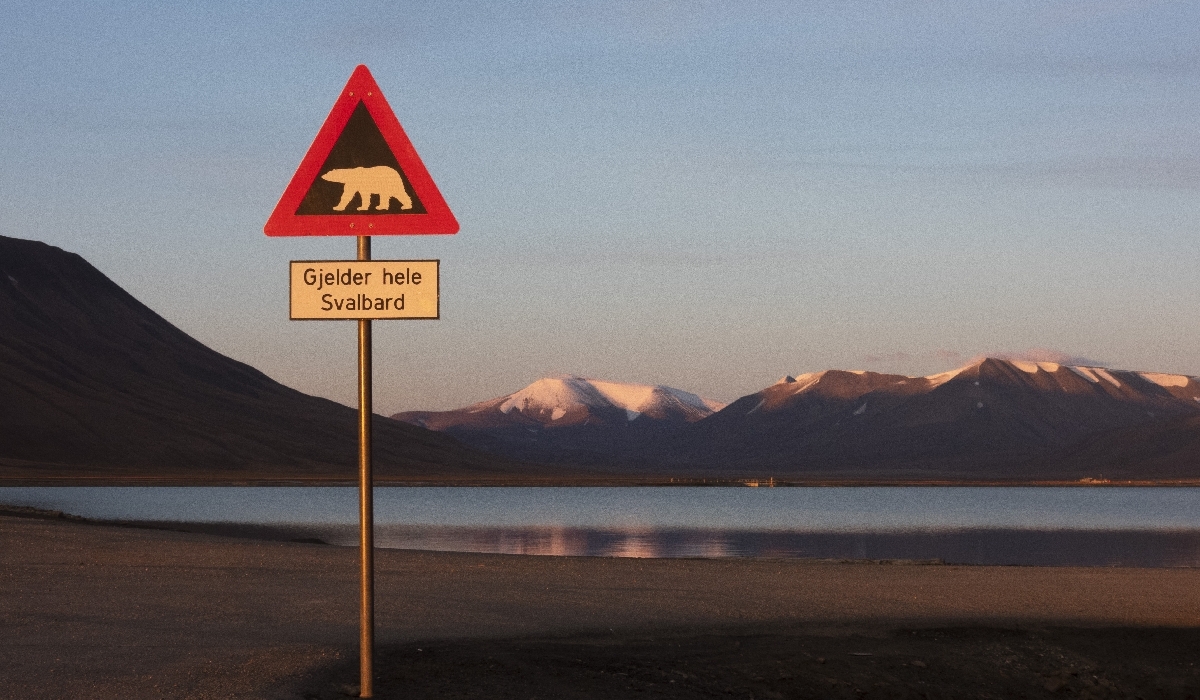 Attention aux ours blancs sur la route entre Longyearbyen et Adventsalen !
