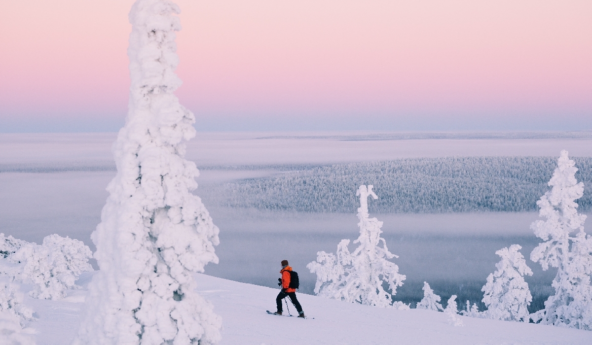 Balade en raquettes dans l'hiver lapon en Finlande