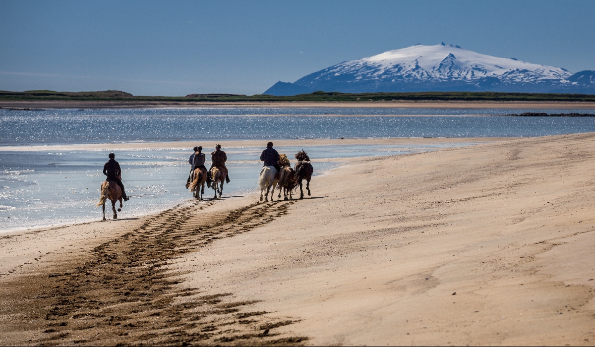 Balade à cheval sur les plages islandaises